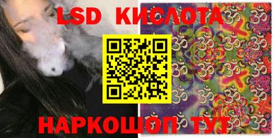 гашик Будённовск