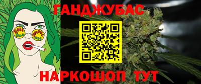 гашик Будённовск