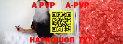 гашик Будённовск