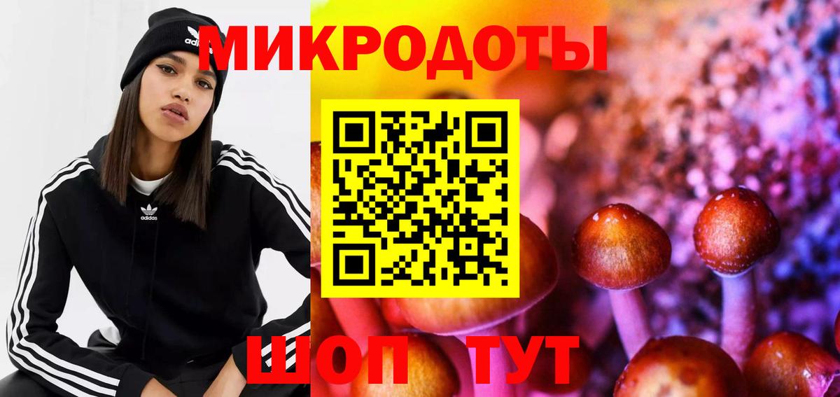 купить закладку  Вход с VPN  Буйнакск  Галлюциногенные грибы мицелий 